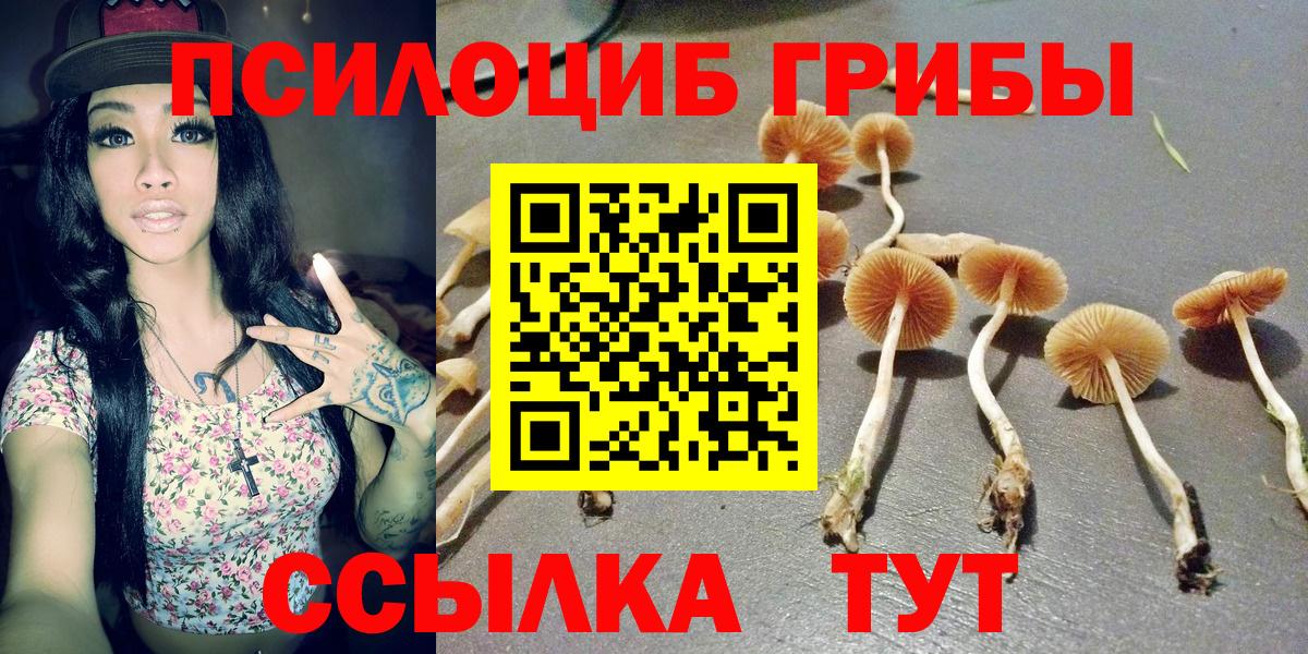 Псилоцибиновые грибы ЛСД Уварово