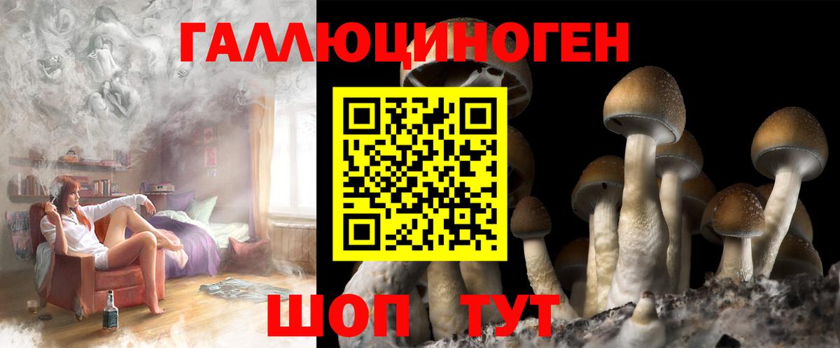 Галлюциногенные грибы Magic Shrooms  Псилоцибиновые грибы GOLDEN TEACHER  Уварово  Вход с VPN 